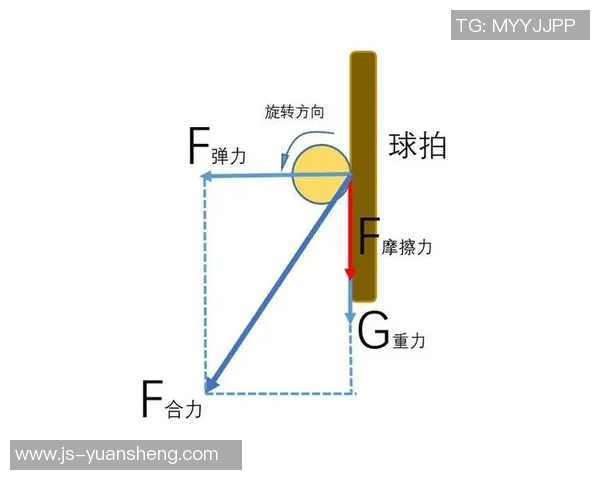 乒乓球深度分析：探寻北京乒乓球队反击战术背后的秘密与技巧