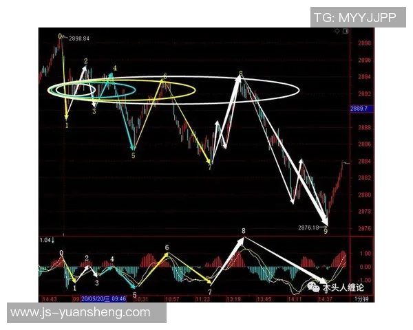 成都排球队包夹战术深度解析与实战应用探讨